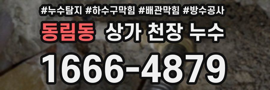 동림동 상가 천장 누수