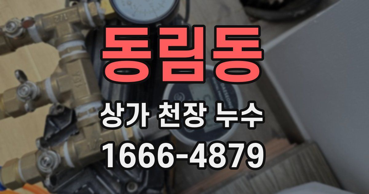 동림동 상가 천장 누수