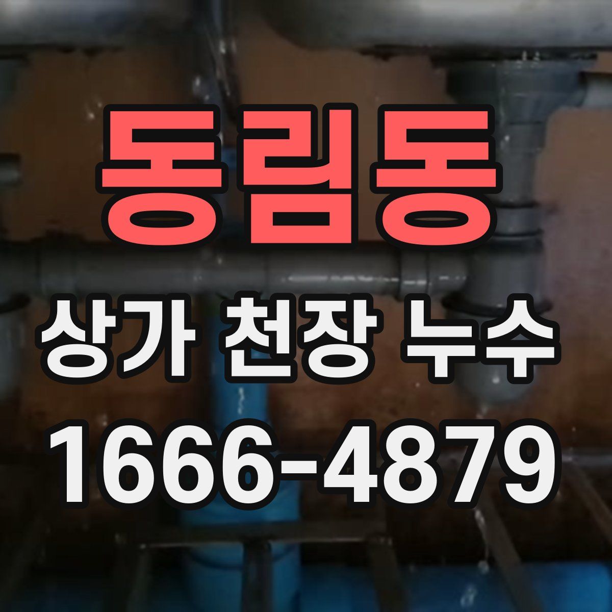 동림동 상가 천장 누수