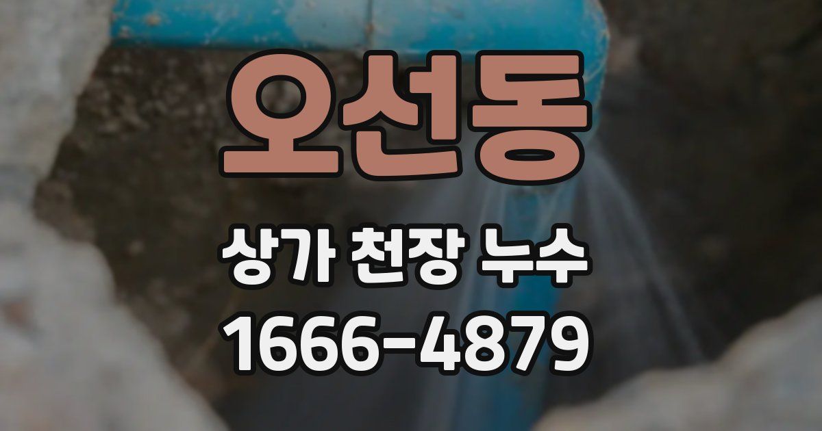 오선동 상가 천장 누수