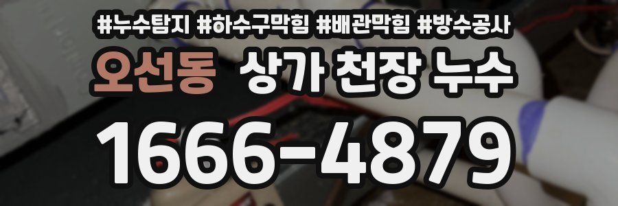 오선동 상가 천장 누수
