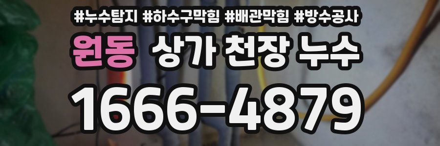 원동 상가 천장 누수