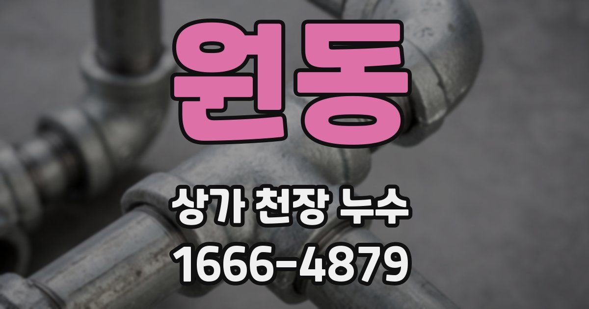 원동 상가 천장 누수