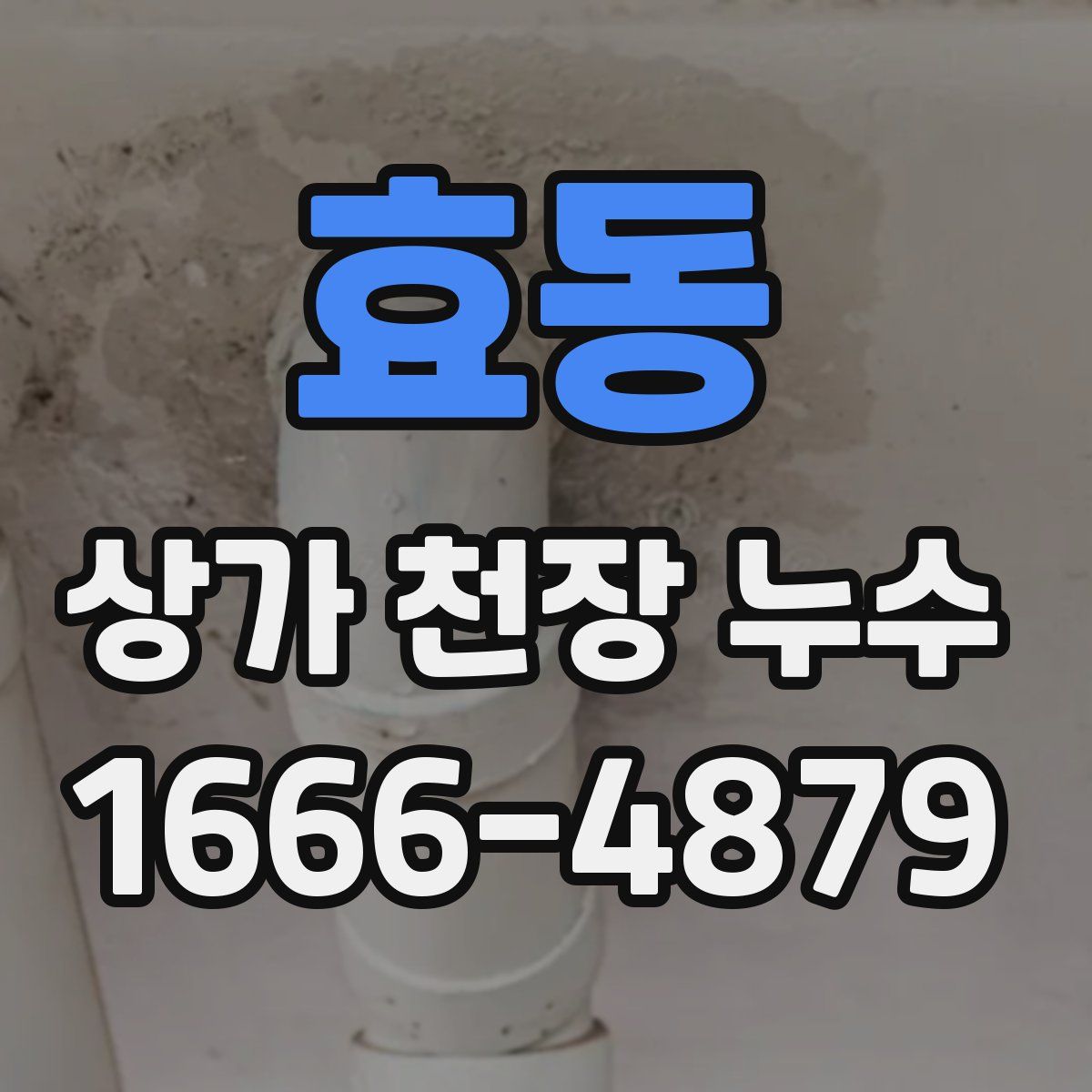 효동 상가 천장 누수