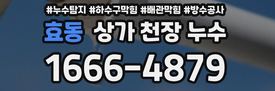 효동 상가 천장 누수
