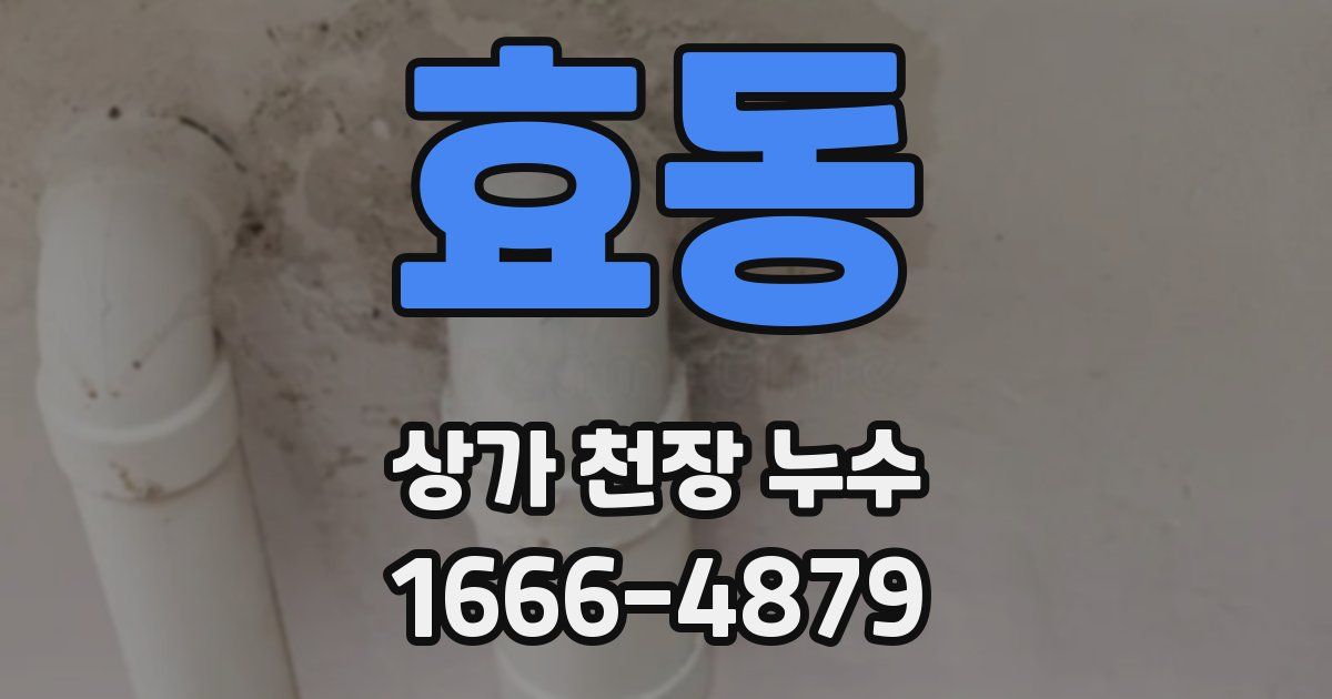 효동 상가 천장 누수