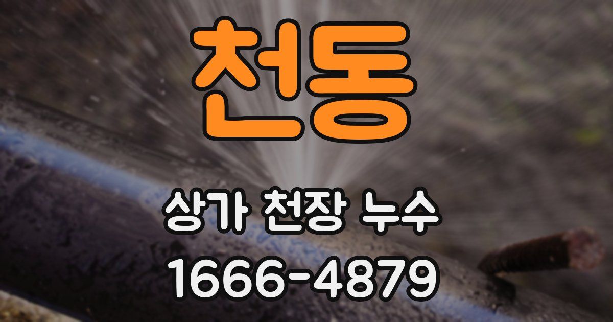 천동 상가 천장 누수
