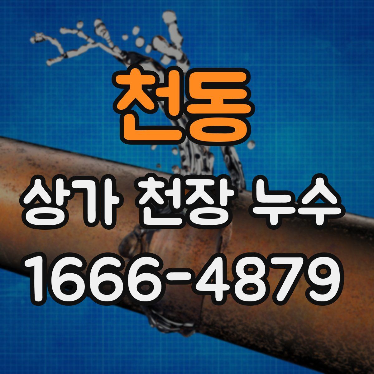 천동 상가 천장 누수