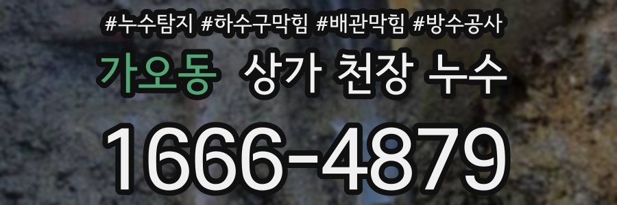 가오동 상가 천장 누수