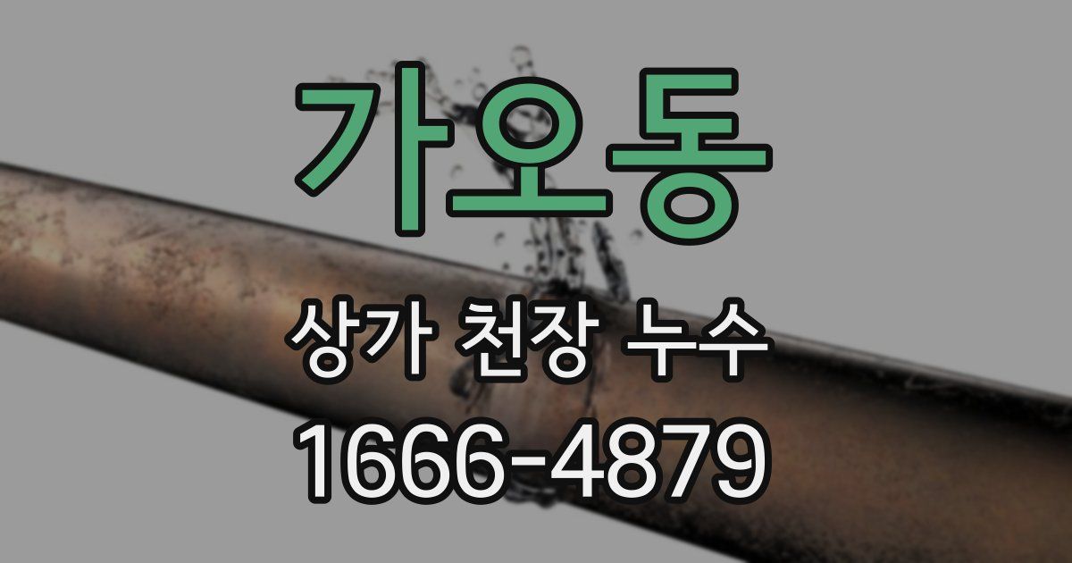 가오동 상가 천장 누수