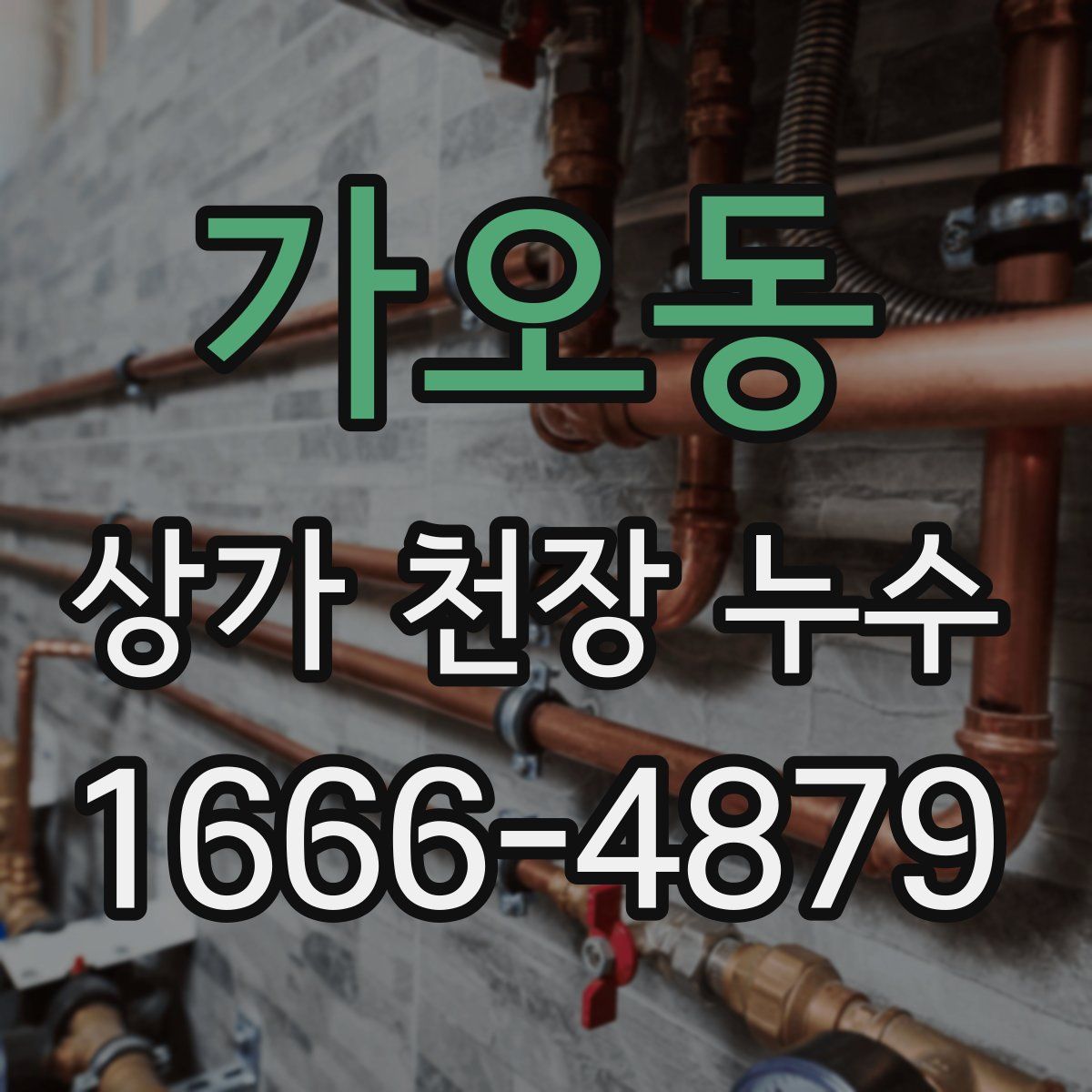 가오동 상가 천장 누수