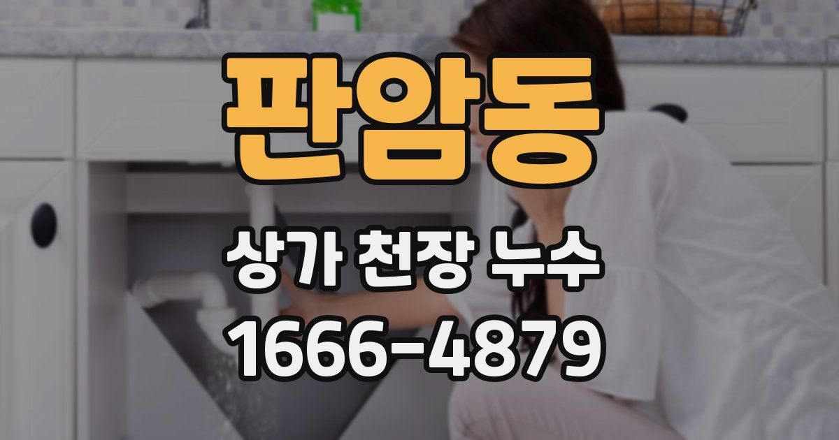 판암동 상가 천장 누수