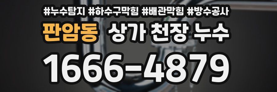판암동 상가 천장 누수