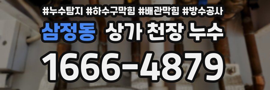 삼정동 상가 천장 누수