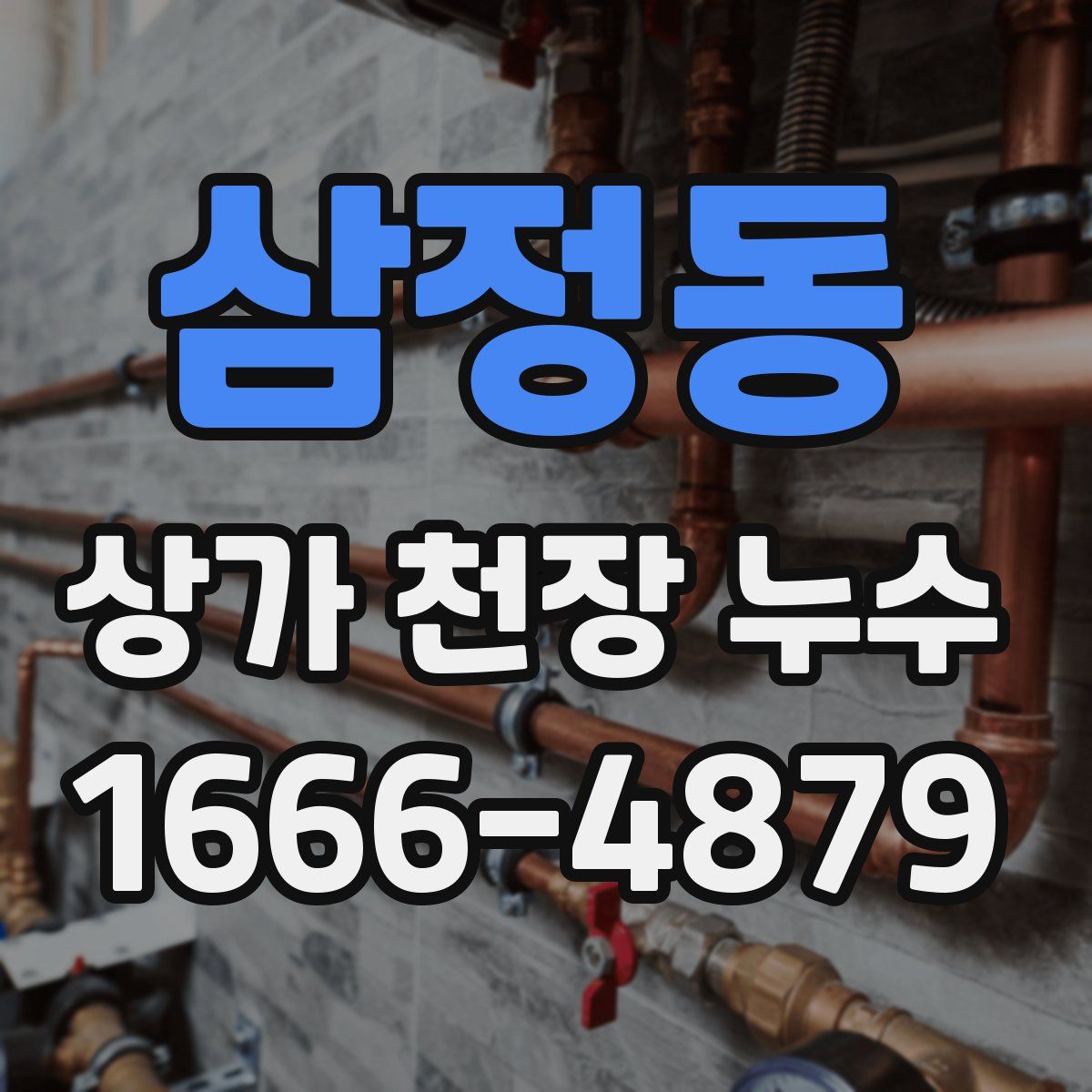 삼정동 상가 천장 누수
