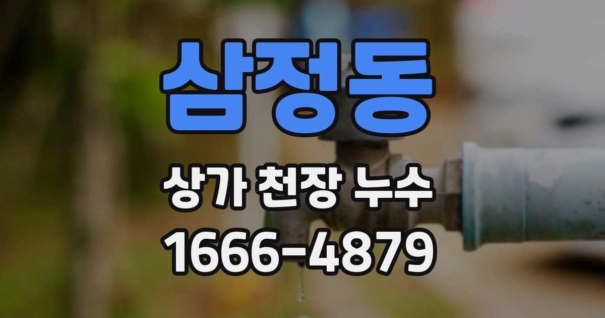 삼정동 상가 천장 누수