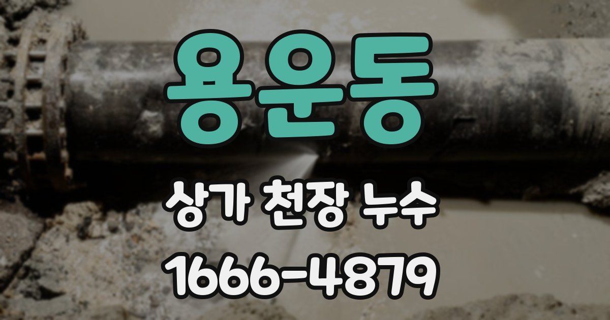 용운동 상가 천장 누수