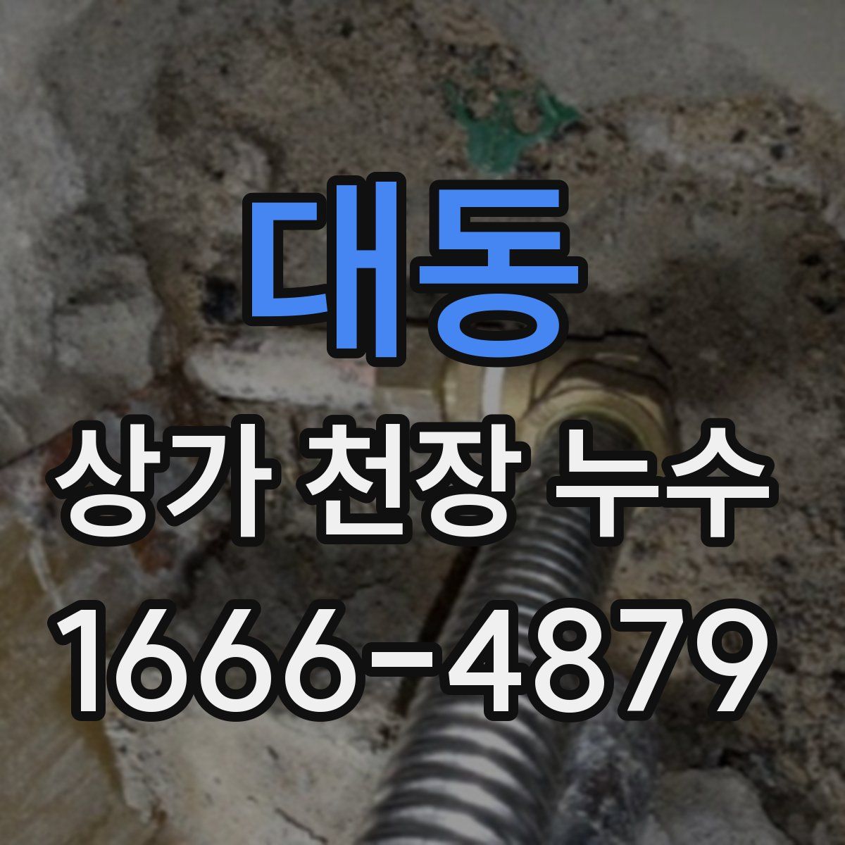 대동 상가 천장 누수