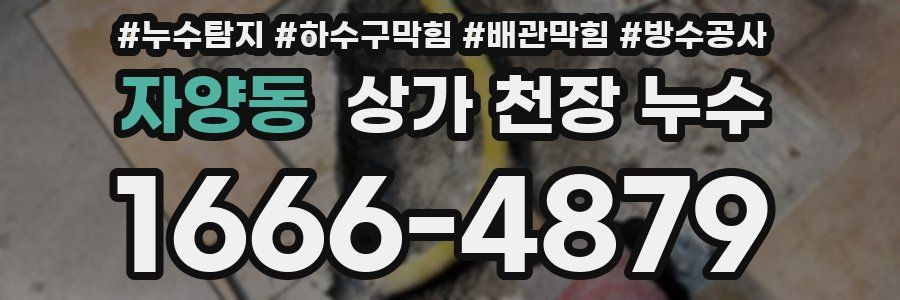 자양동 상가 천장 누수
