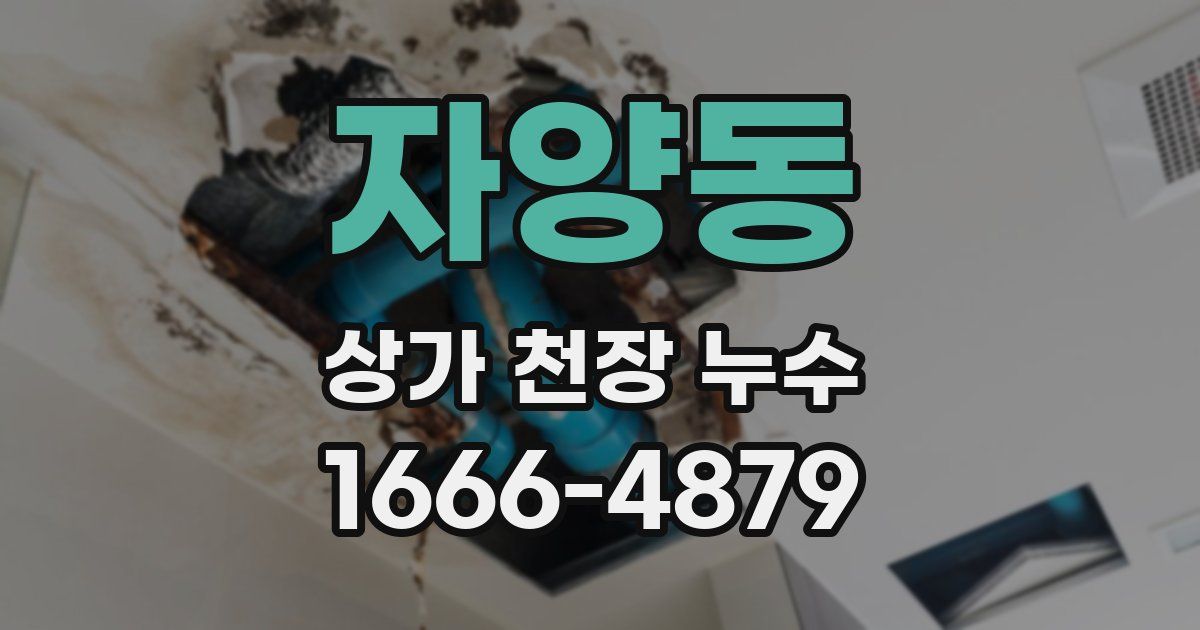 자양동 상가 천장 누수