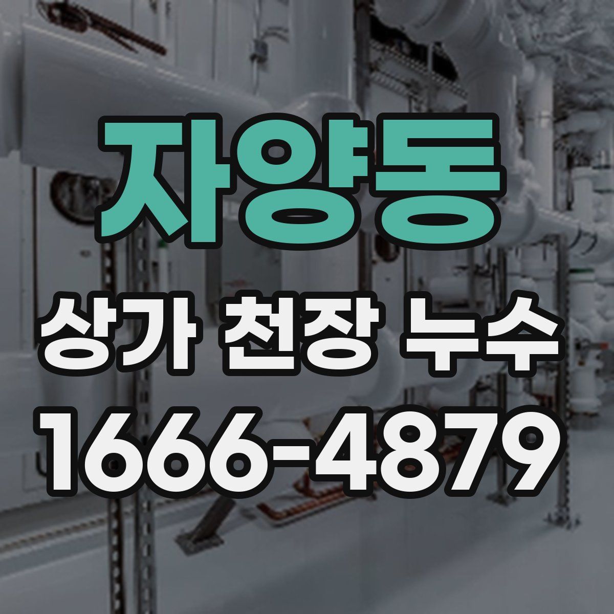 자양동 상가 천장 누수
