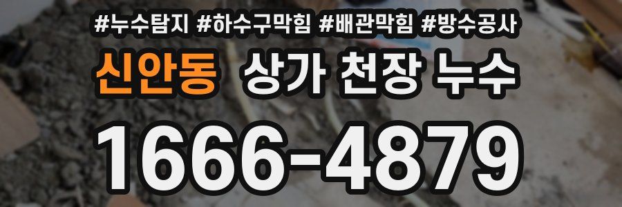 신안동 상가 천장 누수