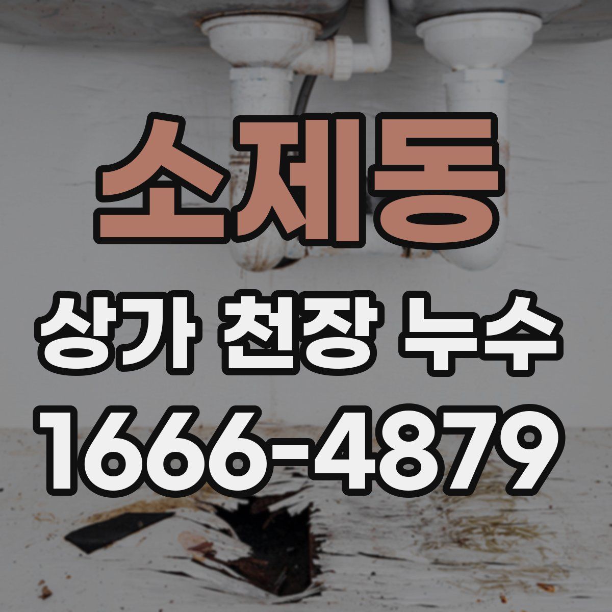 소제동 상가 천장 누수