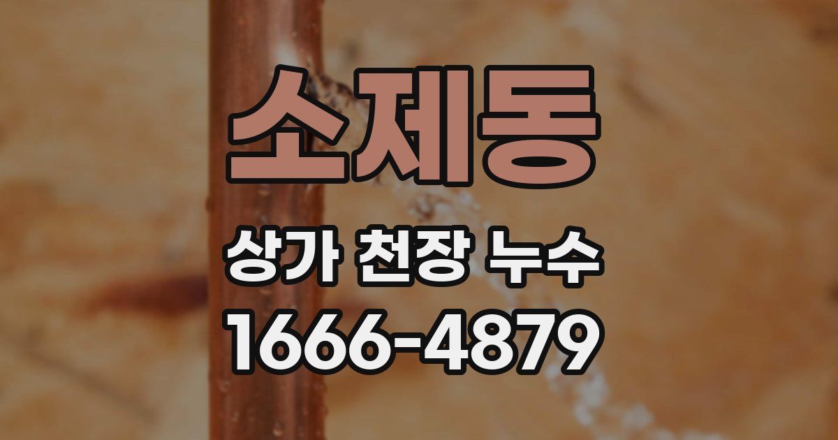 소제동 상가 천장 누수