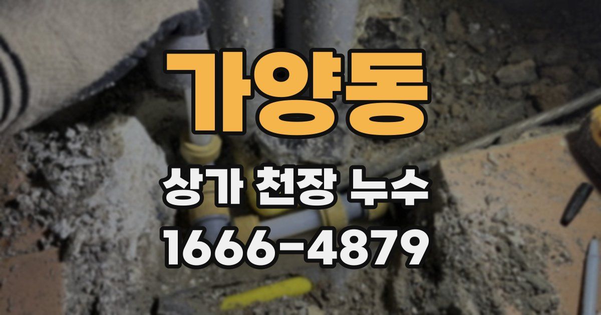 가양동 상가 천장 누수