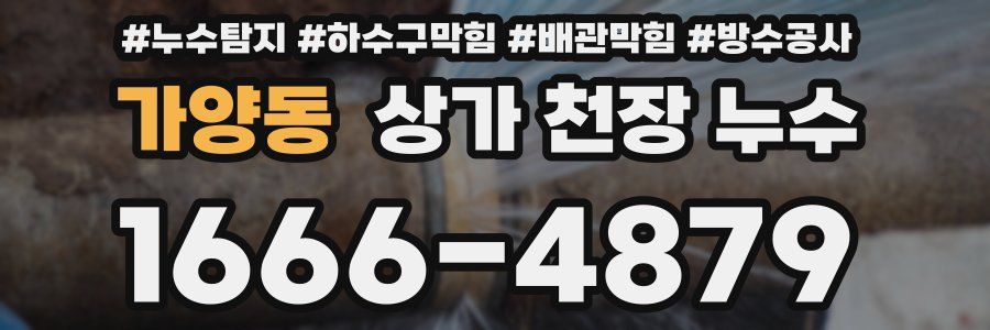 가양동 상가 천장 누수