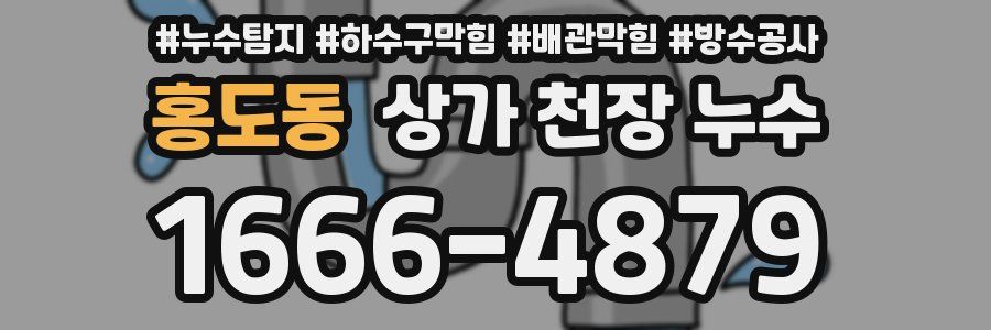 홍도동 상가 천장 누수
