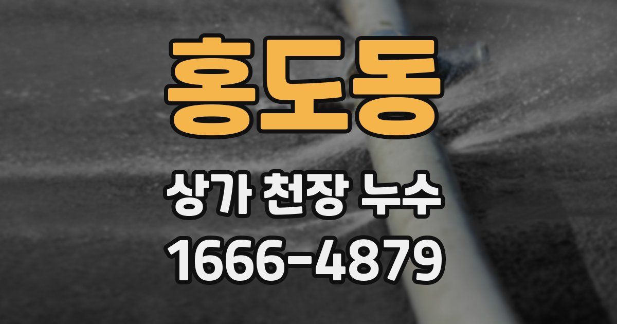 홍도동 상가 천장 누수