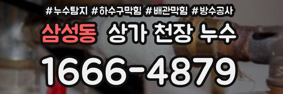 삼성동 상가 천장 누수