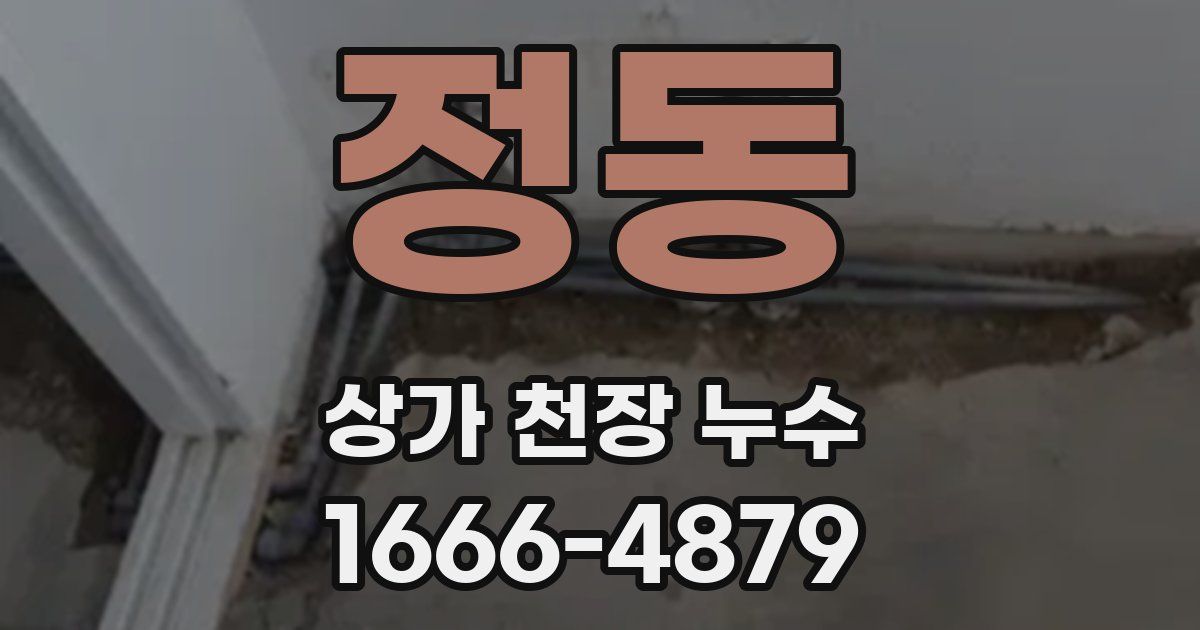 정동 상가 천장 누수