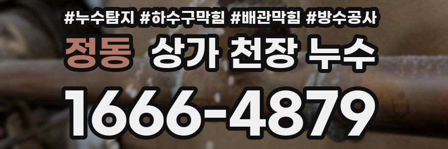 정동 상가 천장 누수