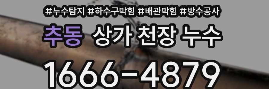 추동 상가 천장 누수