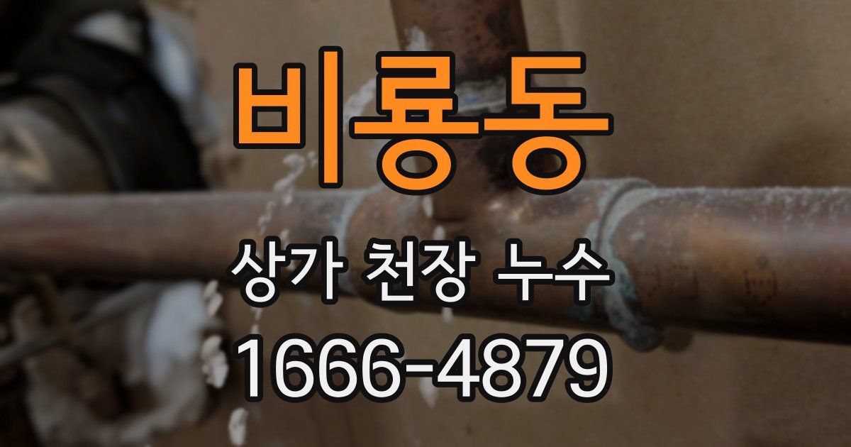 비룡동 상가 천장 누수
