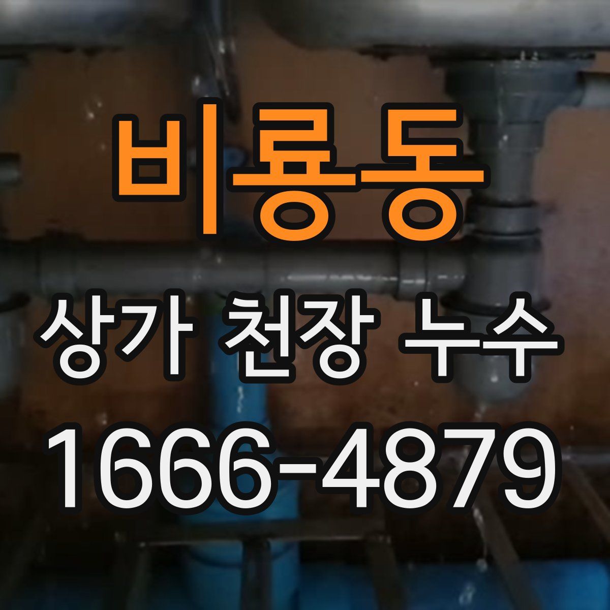 비룡동 상가 천장 누수