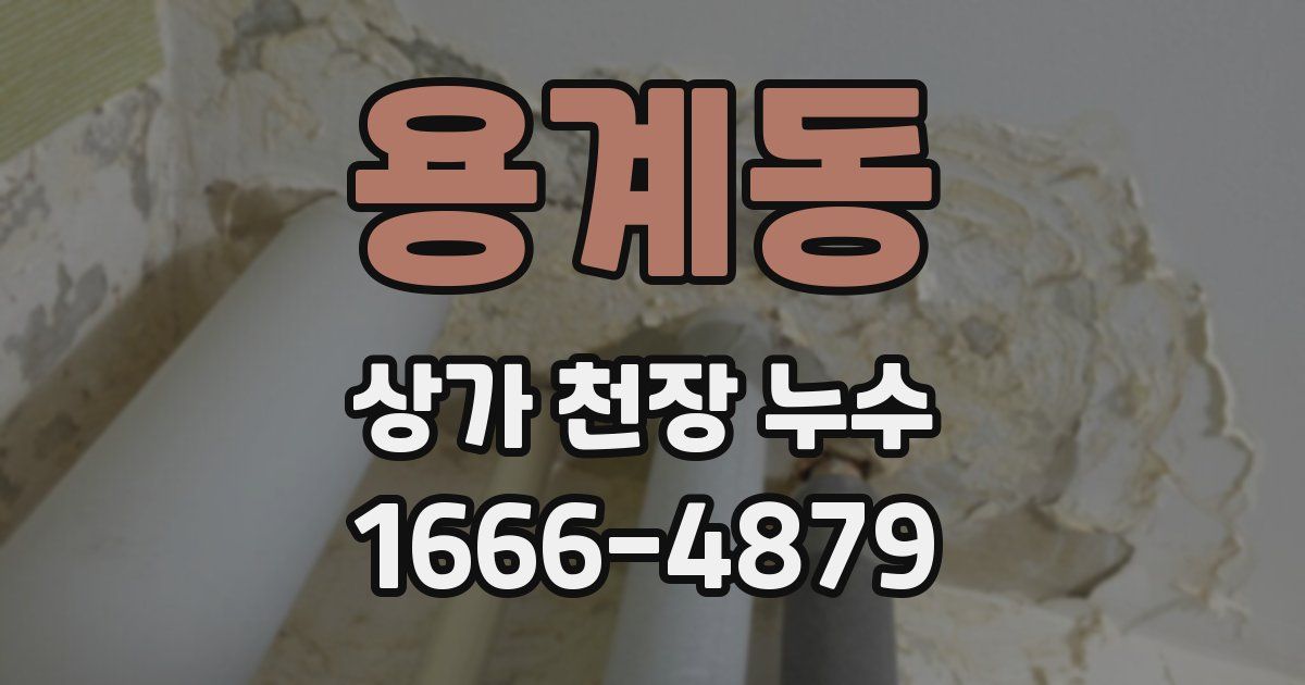 용계동 상가 천장 누수