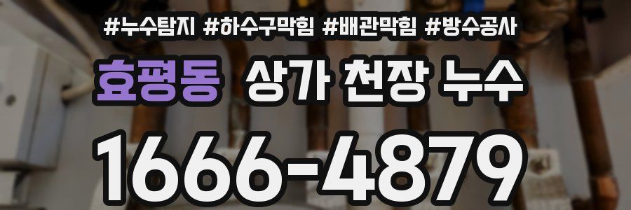 효평동 상가 천장 누수
