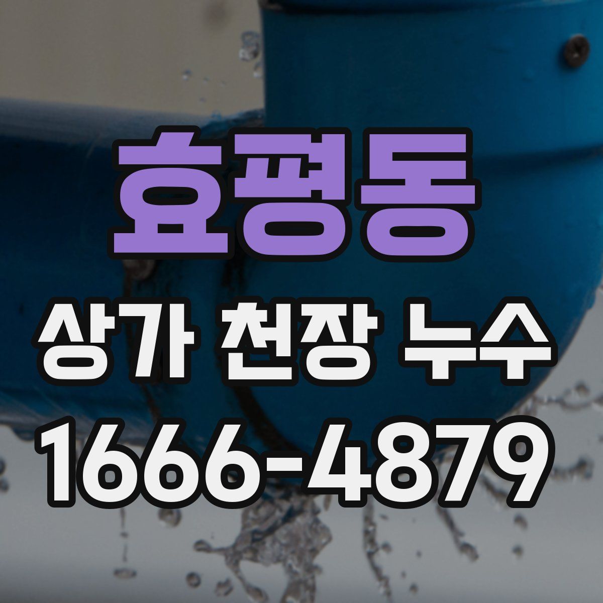 효평동 상가 천장 누수