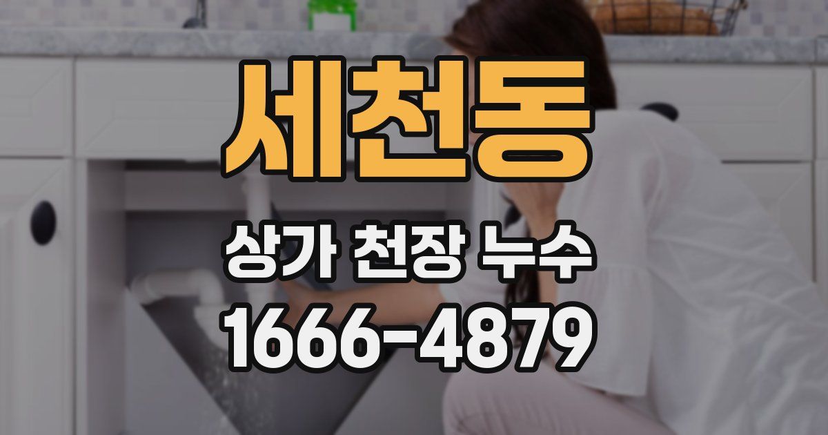 세천동 상가 천장 누수