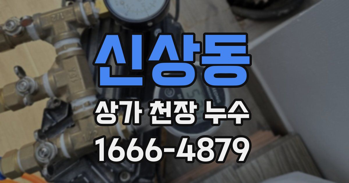 신상동 상가 천장 누수