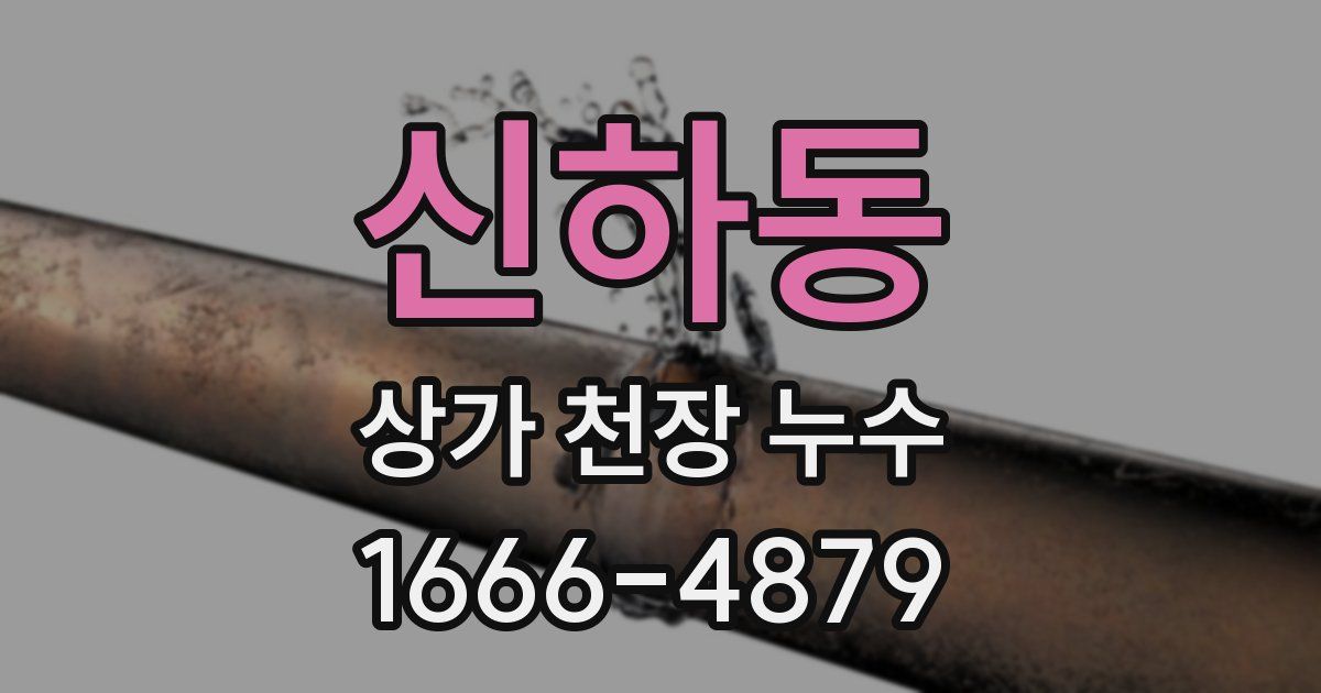 신하동 상가 천장 누수