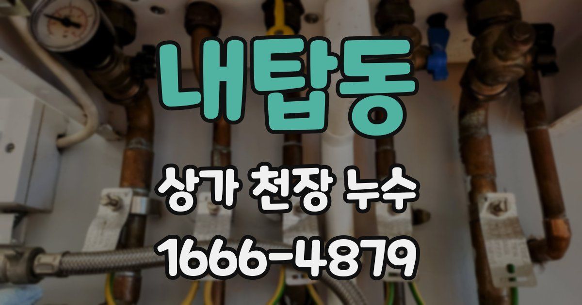 내탑동 상가 천장 누수