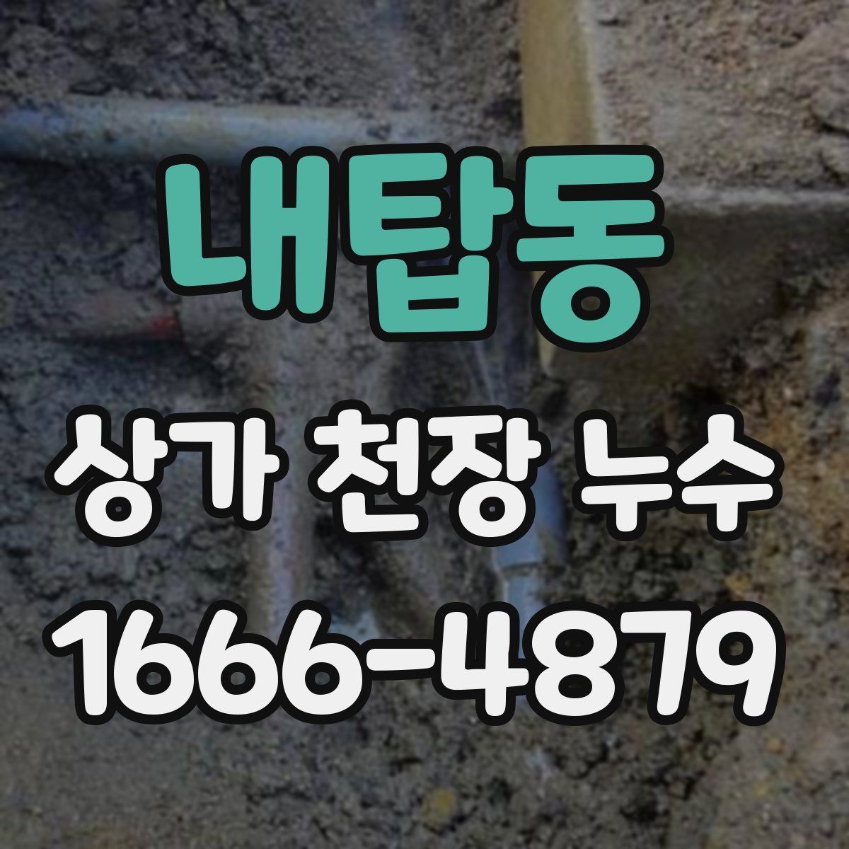 내탑동 상가 천장 누수
