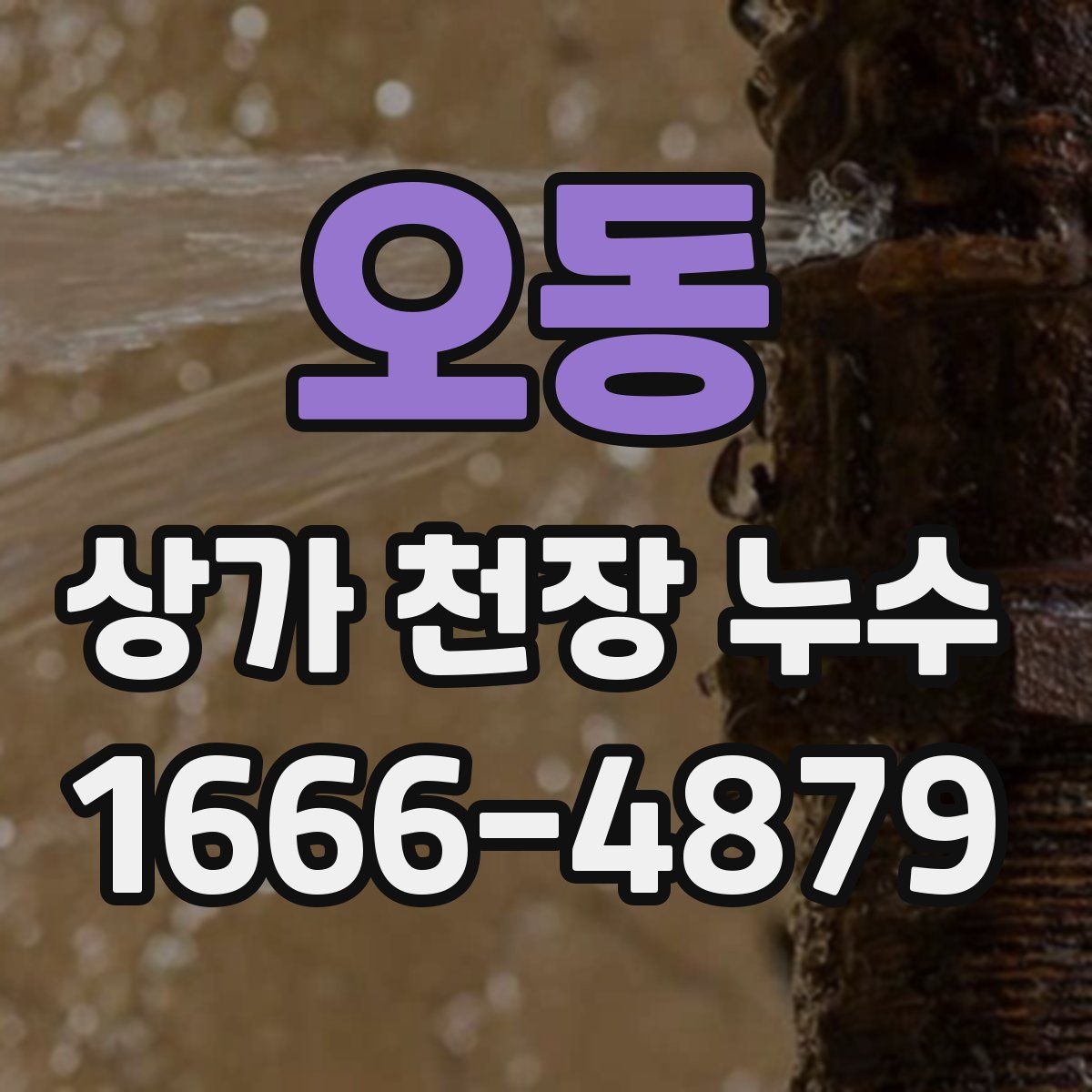오동 상가 천장 누수