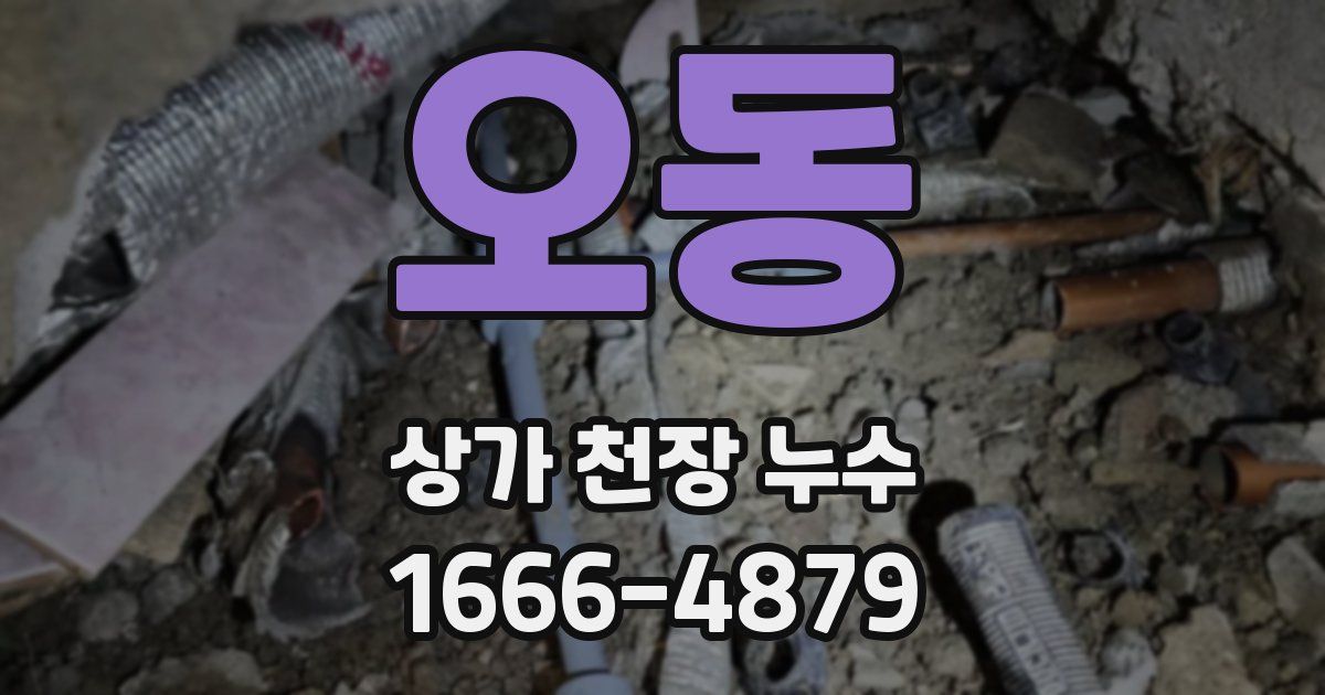 오동 상가 천장 누수
