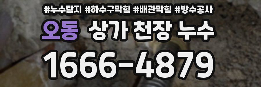 오동 상가 천장 누수