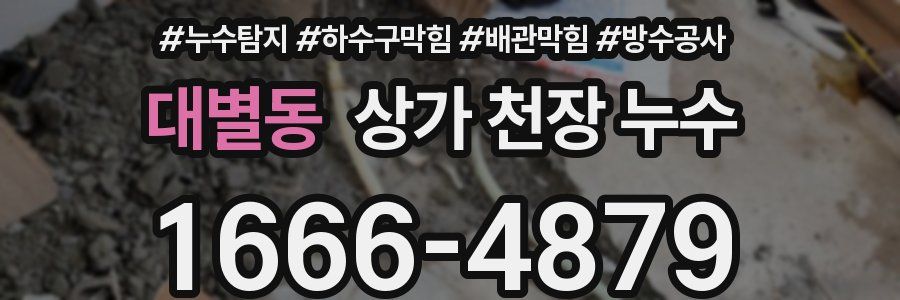 대별동 상가 천장 누수